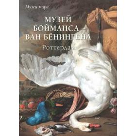 

Музей Бойманса-ван Бенингена. Роттердам. Милюгина Е.