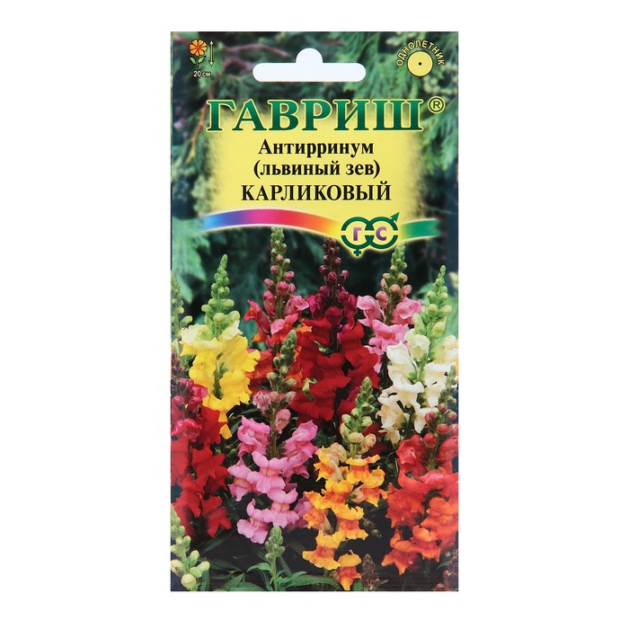 Семена цветов Антирринум (Львиный зев) Карликовый, смесь, 0,05 г семена антирринум русский размер смесь