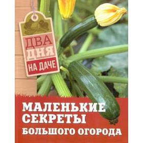 

Маленькие секреты большого огорода. Чернышова Т.