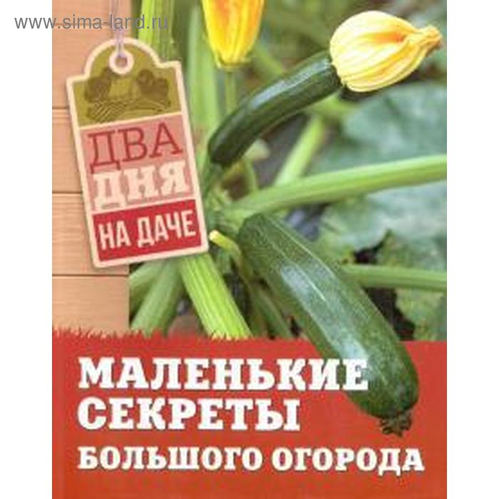 Маленькие секреты большого огорода Чернышова Т 137₽