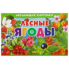 

Лесные ягоды