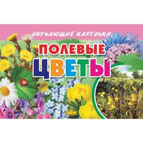 

Полевые цветы