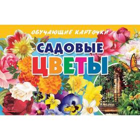 

Садовые цветы