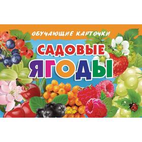 

Садовые ягоды