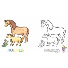 

Родители и детки. Тигрята