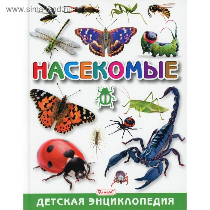 Насекомые. Детская энциклопедия насекомые детская энциклопедия