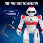 Миниатюра