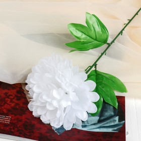 Цветы искусственные (стебель-пластик,бутон-ткань) пион 47 см, d-16 белый Ош