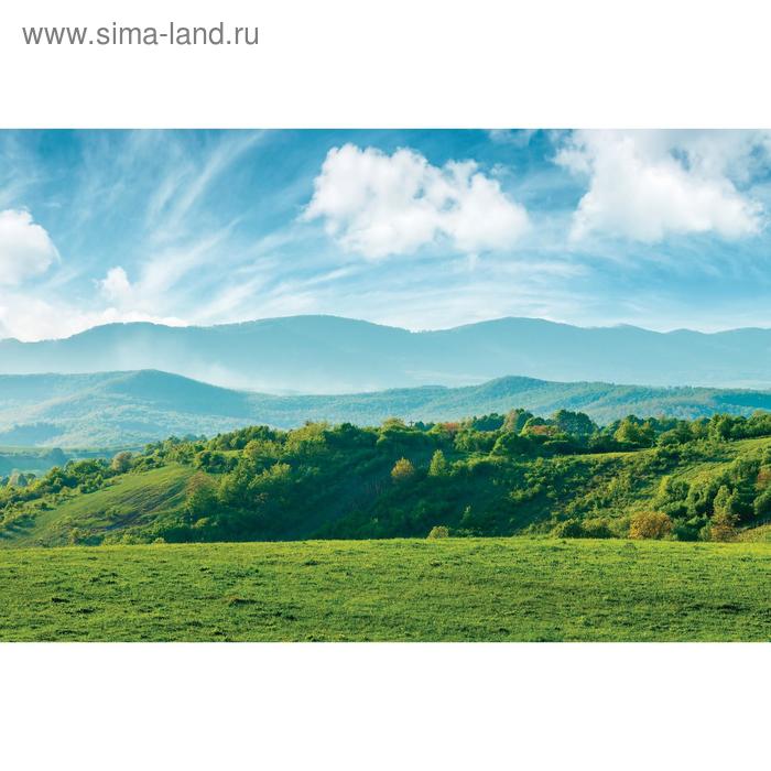 

Фотобаннер, 300 × 200 см, с фотопечатью, люверсы шаг 1 м, «Луг», Greengo