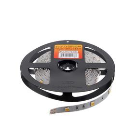 

Светодиодная лента Ecola PRO, 12В, SMD5050, 5 м, IP20, 7.2Вт/м, 30 LED/м, 2800К