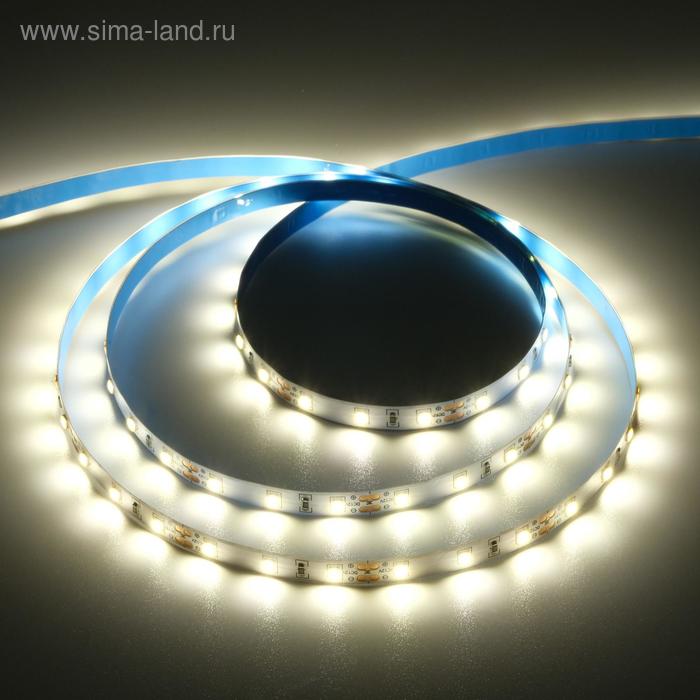 фото Светодиодная лента на катушке ecola led strip pro, 8 мм, 12 в, 2800 к, 11 вт/м, ip20, 5 м