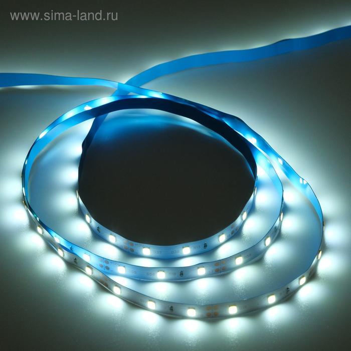 

Светодиодная лента Ecola STD 5 м, IP20, SMD3528, 60 LED/м, 4.8 Вт/м, 12 В, 6000К