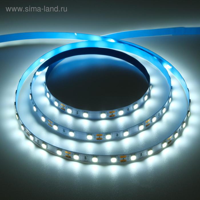 фото Светодиодная лента на катушке ecola led strip pro, 10 мм, 12 в, 6000 к, 14.4 вт/м, ip20, 5 м