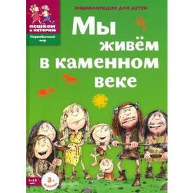 

Мы живем в каменном веке. Рогозный П.