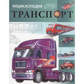 

Транспорт. Соколова Л.
