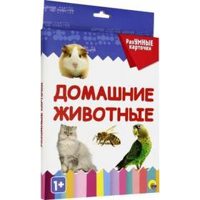 

Домашние животные