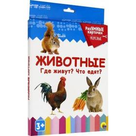 

Животные. Где живут Что едят