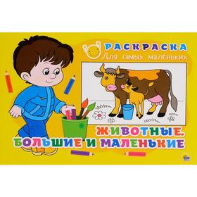 

Животные. Большие и маленькие