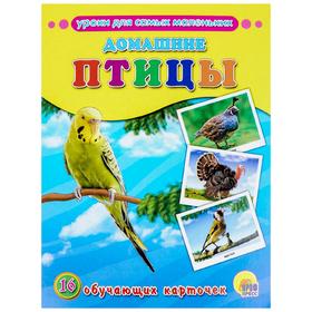 

Домашние птицы