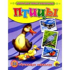 

Птицы. 16 обучающих карточек