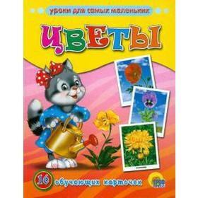 

Цветы. 16 обучающих карточек