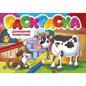 

Домашние животные