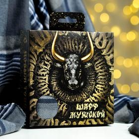 Мужской шарф в подарочной упаковке 'Счастья в Новом году!', 195х35 см Ош