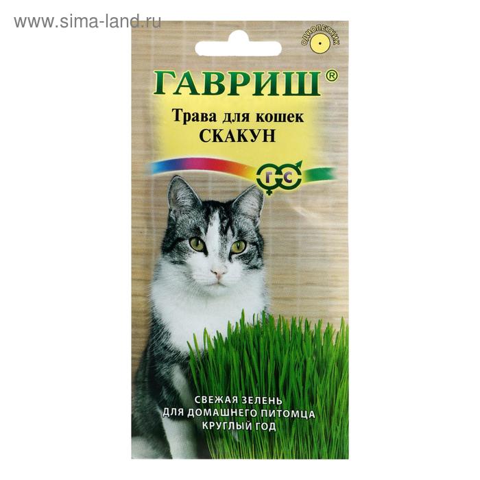 Семена Трава для кошек Скакун, 10 г гавриш семена трава для кошек скакун 10 г