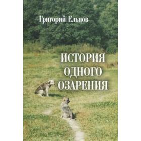 

История одного озарения. Ельцов Г.