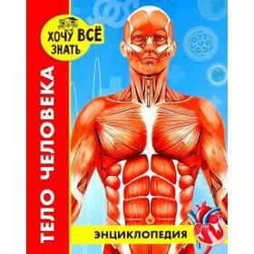 

Тело человека