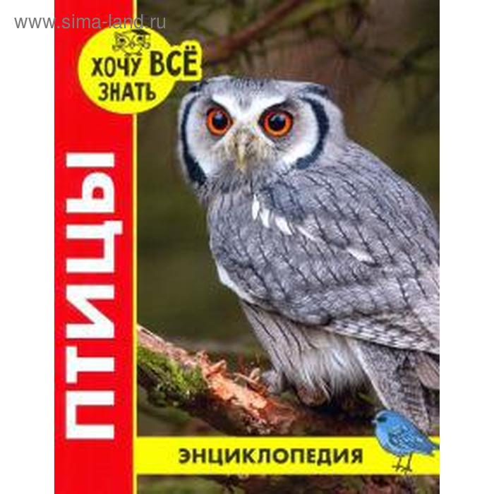 

Птицы. Альникин А.