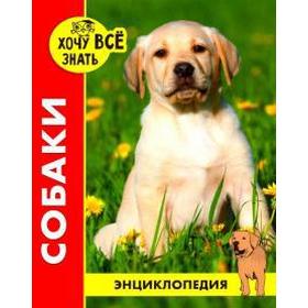 

Собаки. Калугина Л.