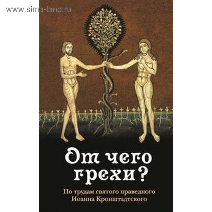 

От чего грехи По трудам святого праведного Иоанна Кронштадского