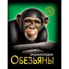 

Обезьяны. Соколова Л.