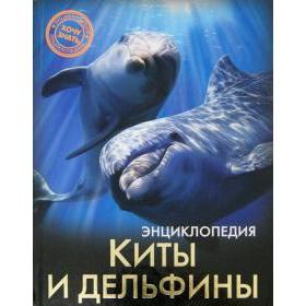 

Киты и дельфины. Савостин М.