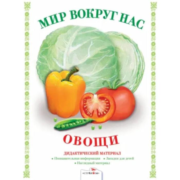 Овощи. Наглядно-дидактический материал. Васильева И.