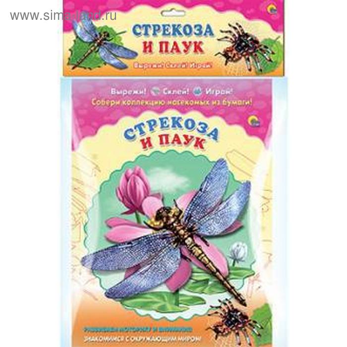 

Стрекоза. Паук