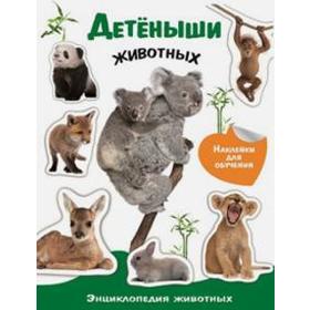 

Детеныши животных