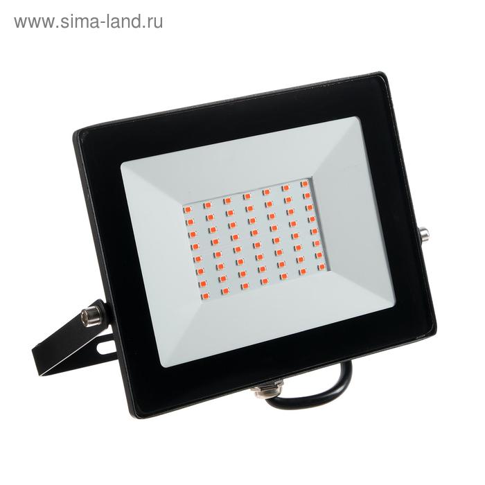 Фитопрожектор светодиодный Smartbuy FL SMD LIGHT, 50 Вт, IP65, 240 В, полноспектральный