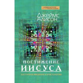 

Постижение Иисуса. Доступное введение в христологию. Д. Алисон