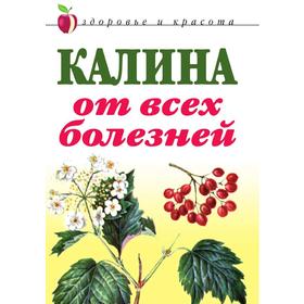 

Калина от всех болезней