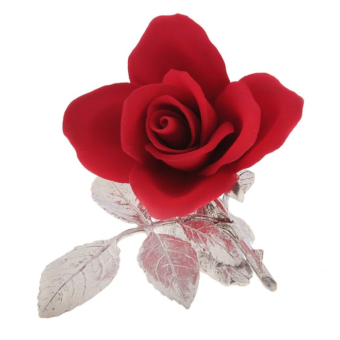 Декоративная роза "Амбассадор"