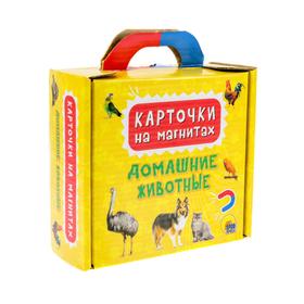 

Карточки на магнитах. Домашние животные