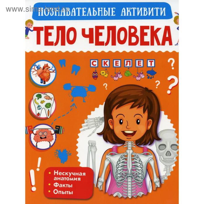 

Тело человека