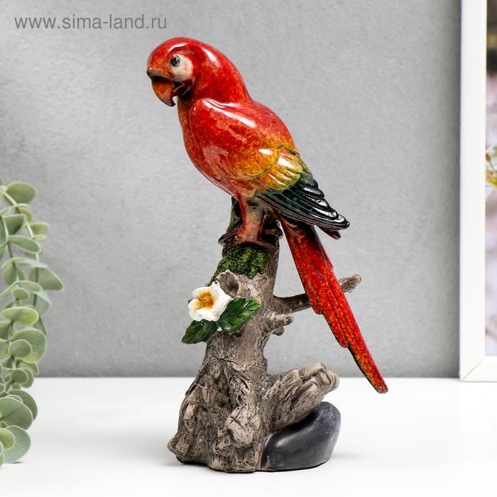 Сувенир полистоун лак Красный попугай Ара на дереве 21х10,5х8 см