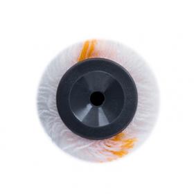 

Валик сменный MTX 81331, для внутренних работ, полиакрил, 180 мм, ворс 12 мм, D 40 мм