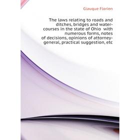 

Книга The laws relating to roads and ditches, bridges and water-courses in the state of Ohio with numerous forms, notes of decisions, etc. Giauque Flo