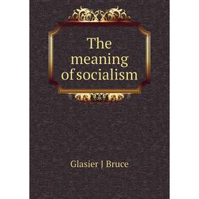 

Книга The meaning of socialism