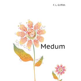 

Книга Medum