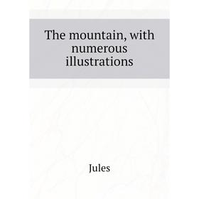 

Книга The mountain, with numerous illustrations